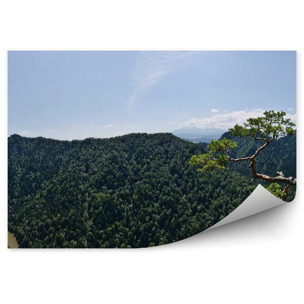 Fototapet Vf. Sokolica Pieniny Sosna Dunajec Panorama