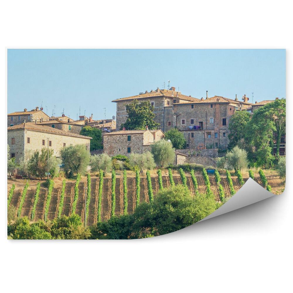 Fototapet vintage Construirea Copaci Podgorie Cer Nori Toscana