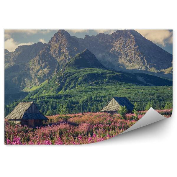 Decor fototapet Munții Tatra, Cabane, Copaci, Flori, Plante, Cer, Nori