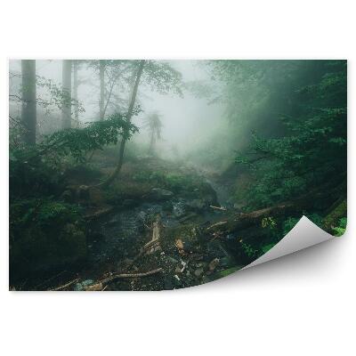 Decor fototapet Ferigi Cețoase Din Pădure De Pin