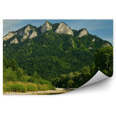 Fototapet vintage Panoramă Cu Vedere La Cele Trei Coroane Ale Munților Pieniny