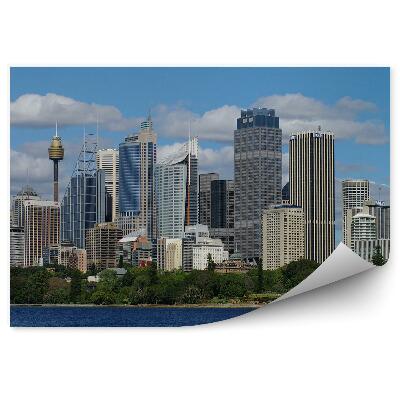 Fototapet pentru perete Zgârie-Nori Copaci Ocean Cer Nori Sydney