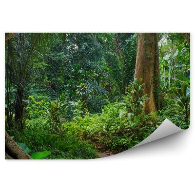 Fototapet pentru perete Ferigi Din Junglă Asiatică Ramuri De Copac