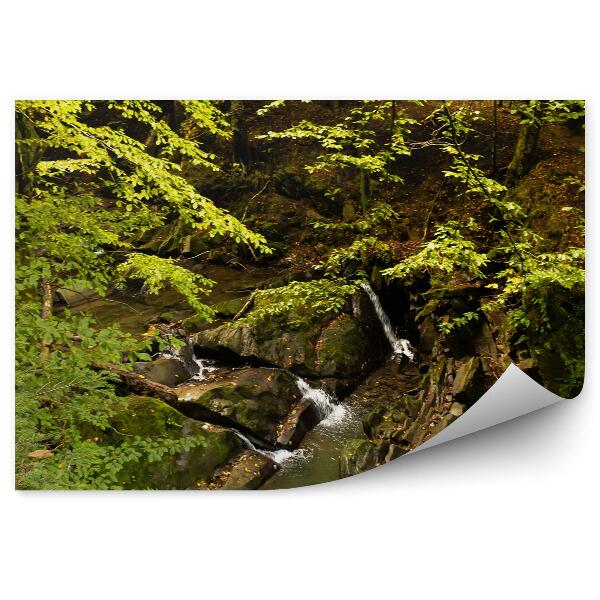 Fototapet pentru perete Pârâul De Pădure Munții Bieszczady