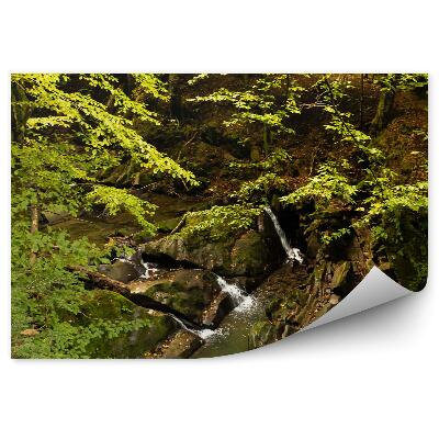 Fototapet pentru perete Pârâul De Pădure Munții Bieszczady