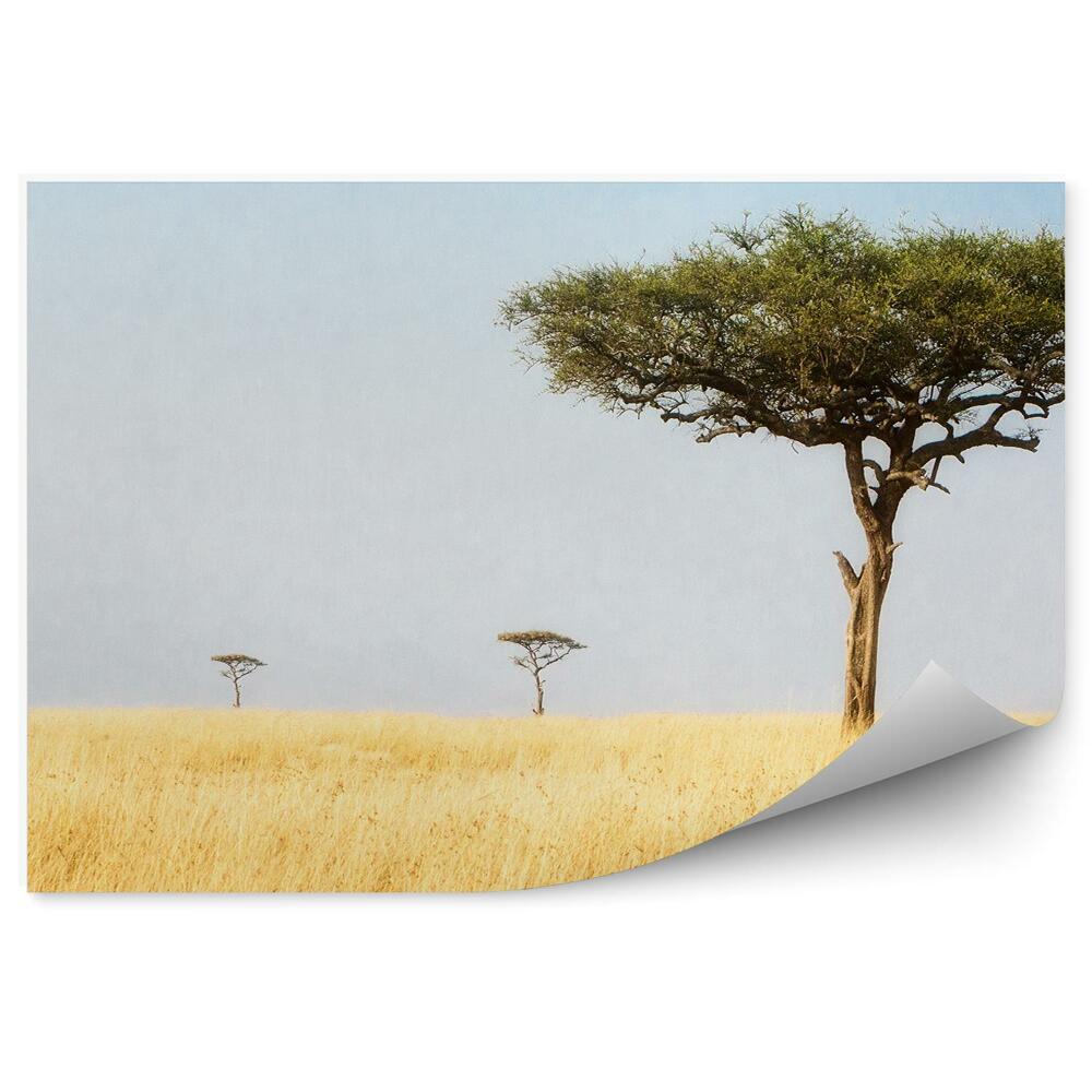 Fototapet Africa natura peisaj copaci