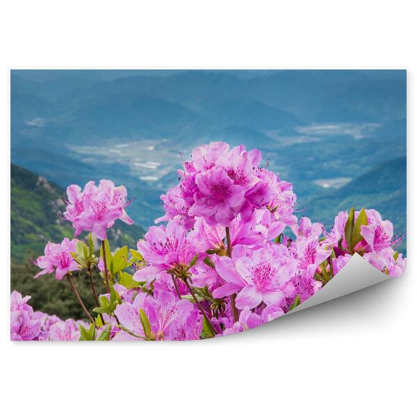 Fototapet pentru perete Floare de rododendron pe fundalul unui peisaj montan