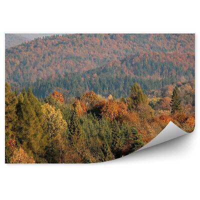 Fototapet perete Vedere Aeriană A Copacilor De Toamnă