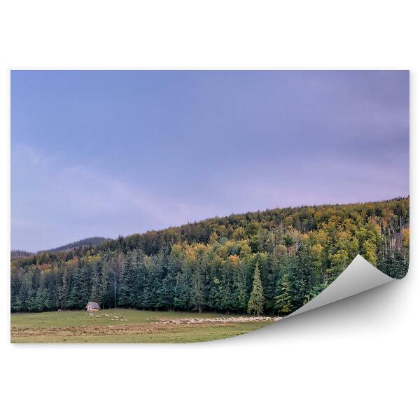 Decor fototapet Panoramă A Orașului Din Munții Tatra, Conifere, Iarbă, Cabane, Cer