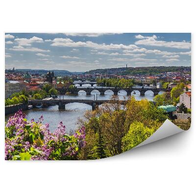 Fototapet pentru perete Panoramă A Orașului Din Vedere De Ochi De Pasăre, Flori, Tufișuri