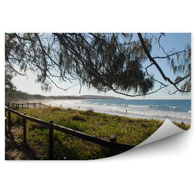 Fototapet Plajă, Gard, Bancă, Ocean, Oameni, Copaci, Iarbă