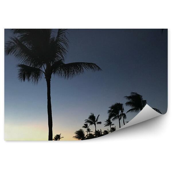Fototapet perete Apus De Soare Palmieri Ocean Hawaii
