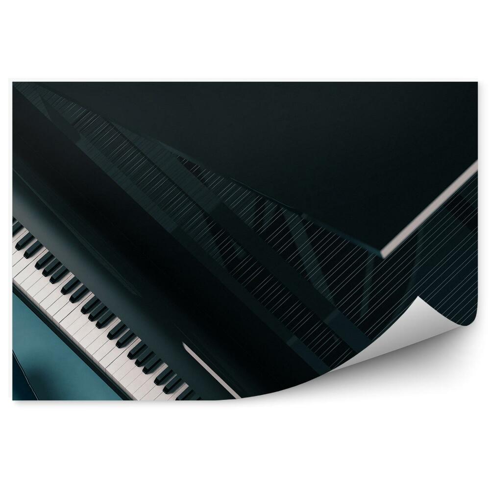 Decor fototapet Instrument De Piane Negre