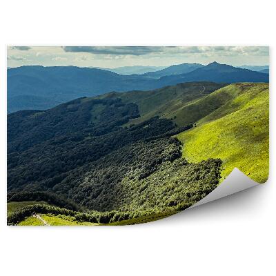 Decor fototapet Păduri Copaci Munți Verde Natură