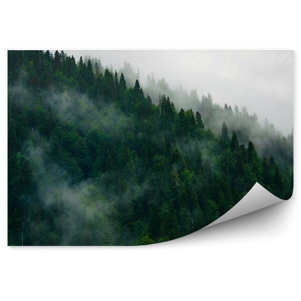 Fototapet pentru perete Ceață De Pădure De Munți
