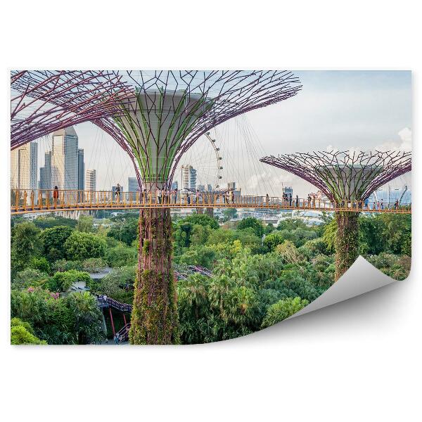 Fototapet perete Arhitectura parcului de plante din Singapore