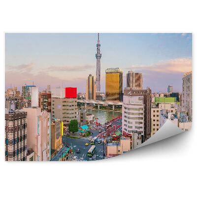 Fototapet pentru perete Zgârie-Nori Clădiri Transport Rutier Cer Nori Tokyo Japonia