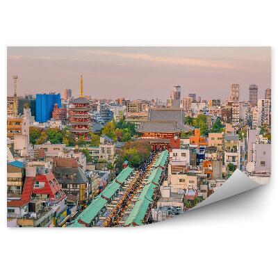 Decor fototapet Vedere Aeriană A Tokyo, Japonia