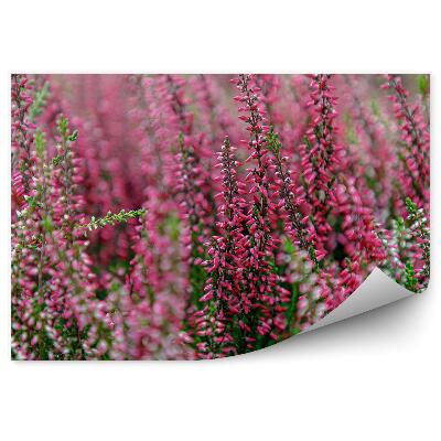 Fototapet pentru perete Crengute de Heathers