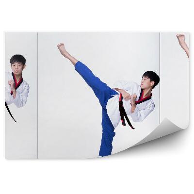 Fototapet vintage Adolescent Karate colaj