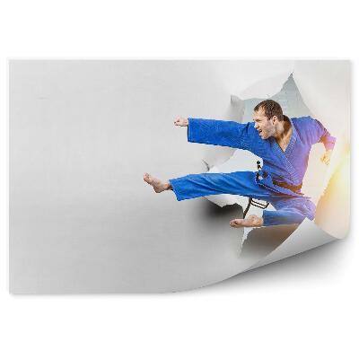 Fototapet pentru perete hârtie de perforare karate