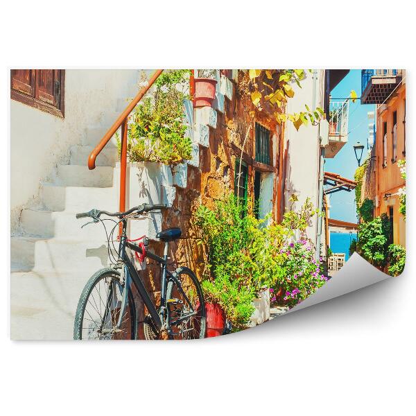 Fototapet perete Alee biciclete scari cladiri culori plante
