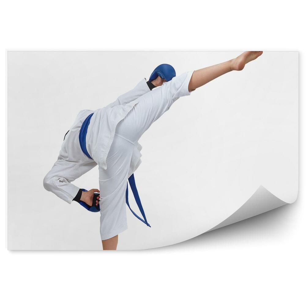 Decor fototapet Karate de formare