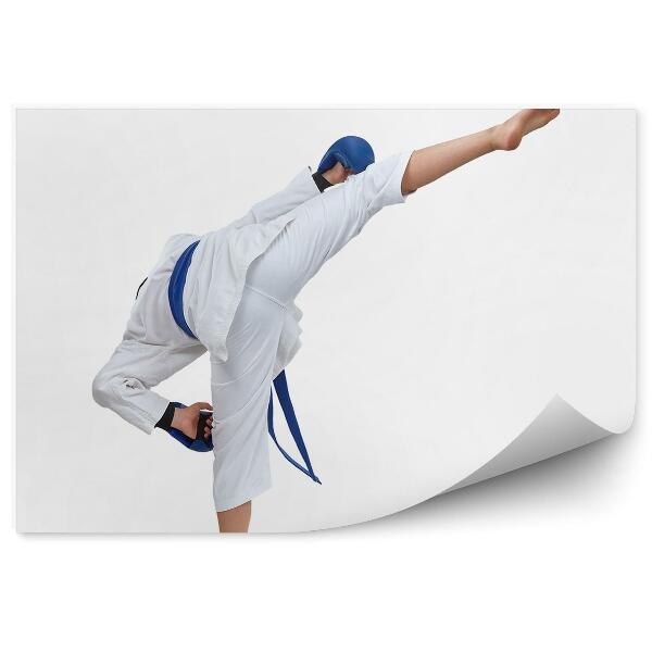 Decor fototapet Karate de formare