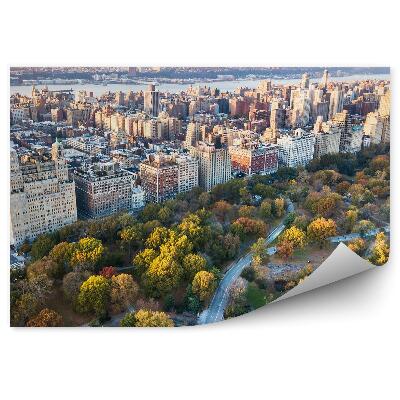 Fototapet vintage Zgârie-Nori Drum Pădure Copaci Râu New York