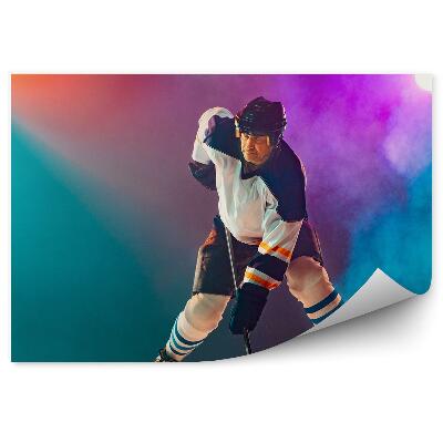 Decor fototapet Jucător de hochei jucător de hochei pe gheață băț de hochei pe gheață