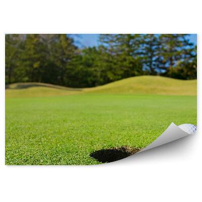 Fototapet Golf minge gaura cer cerul copaci conifere