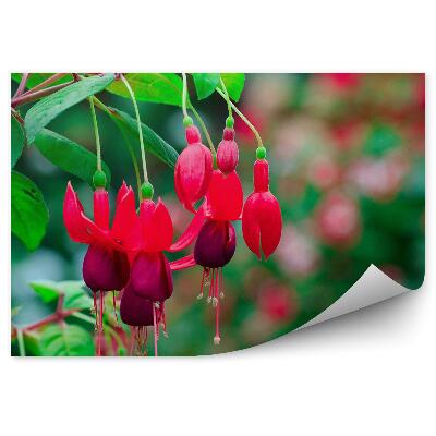 Fototapet perete Flori roșii fucsia fundal verde
