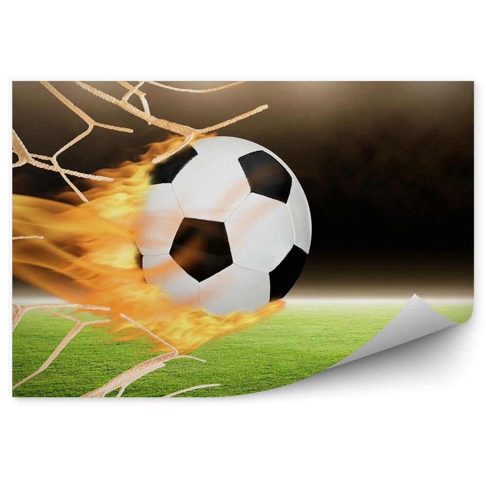 Fototapet pentru perete Fotbal în poartă foc peluză gazon noapte