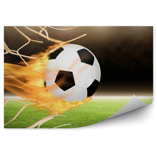 Fototapet pentru perete Fotbal în poartă foc peluză gazon noapte