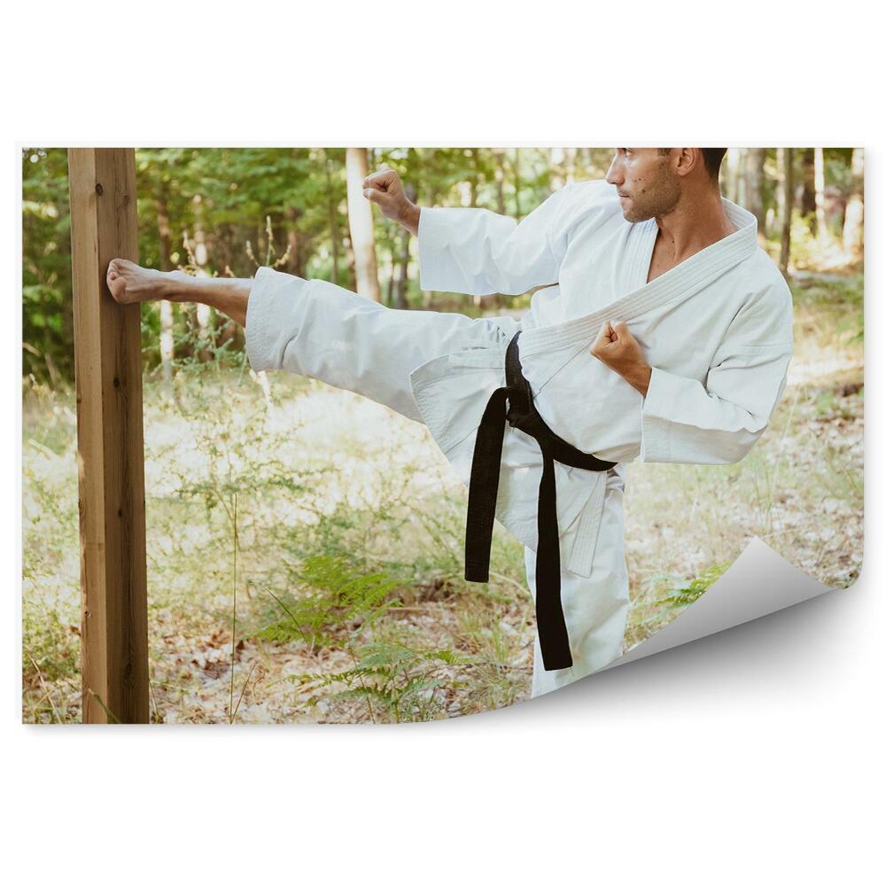 Fototapet Karate formare copac copac pădure sol