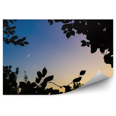 Fototapet Frunze De Apus