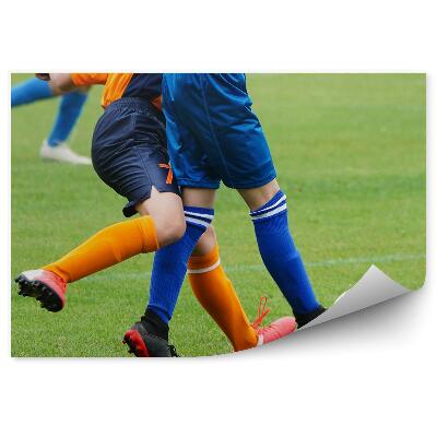 Fototapet Fotbal Gazon Fotbal