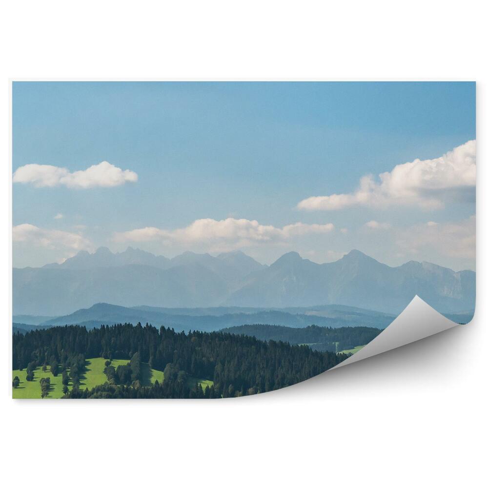 Fototapet vintage Vedere Asupra Munților Tatra Din Panorama Munților Pieniny