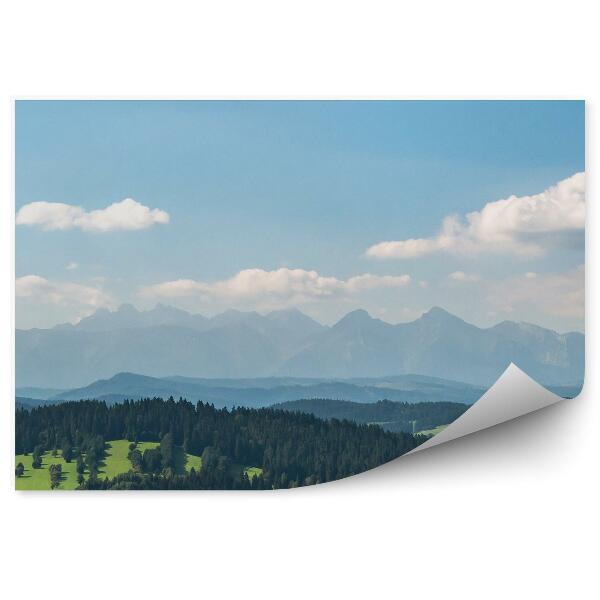 Fototapet vintage Vedere Asupra Munților Tatra Din Panorama Munților Pieniny