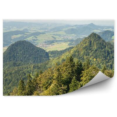 Fototapet pentru perete Munți, Vârfuri, Pieniny, Verde