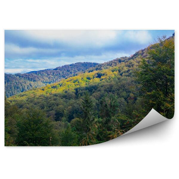 Fototapet vintage Peisaj Natural Pomi De Crăciun Pomi Munți Din Munții Bieszczady