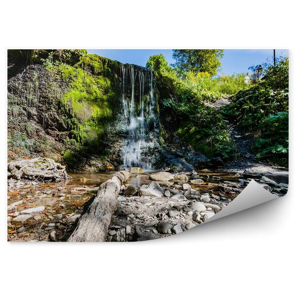 Fototapet Cascada Mică, Vegetație, Stânci, Munții Bieszczady