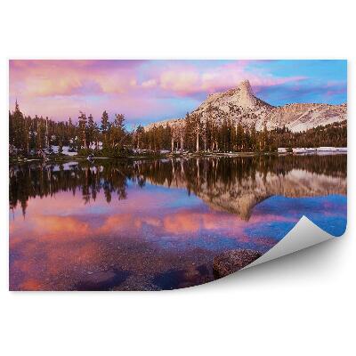 Fototapet perete Parcul Național Dealuri Zăpadă Pomi De Crăciun Reflectare În Apă