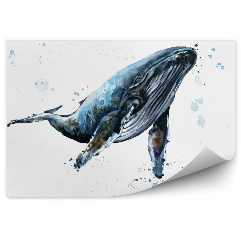 Fototapet pentru perete Whale with hump