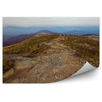 Fototapet pentru perete Calea Munților Traseu Pietre Vegetație Toamna