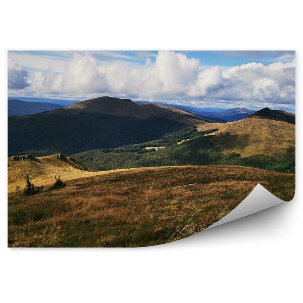 Decor fototapet Peisajul Munților Polana Vârfurile Bieszczady