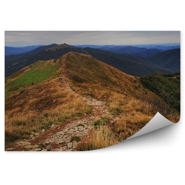 Fototapet vintage Traseul Montan Bieszczady, Păduri, Copaci