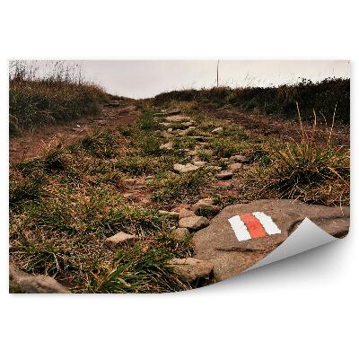 Decor fototapet Traseu De Munte Cu Iarbă Verde