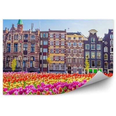 Fototapet perete Câmp de lalele arbore din Amsterdam