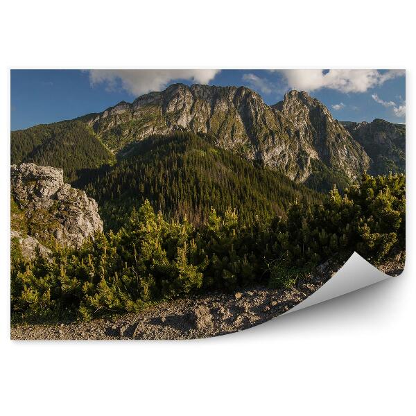 Decor fototapet Munții Giewont Tatry Copaci Conifere Stânci Cer Nori